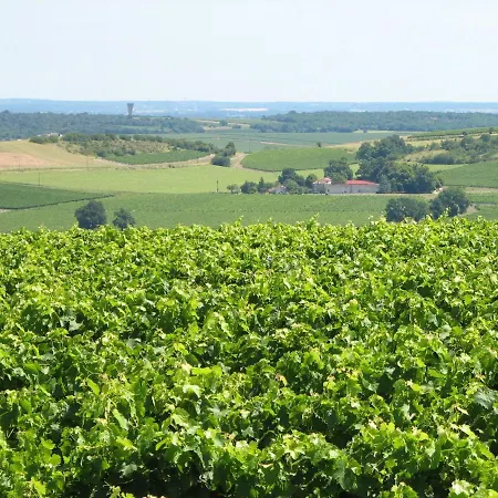 In With Pool And Vineyards Segonzac (Charente)