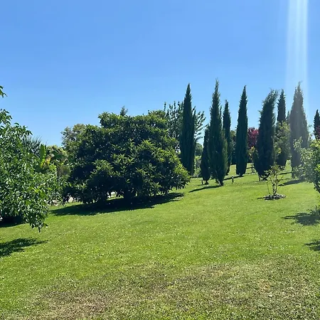 In With Pool And Vineyards Βίλα